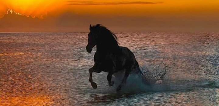 DENTRO LO SPAZIO DEL MIO CUORE