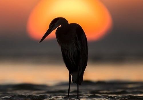 – I signori che cosa prendono? – – Un tramonto per due vista mare, grazie. –