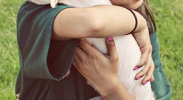 A PROPOSITO DI VACCINI