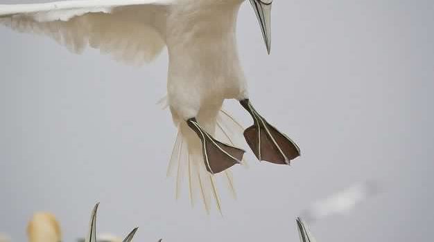 Tutto è inquinato tanto vale mangiare un pò di tutto