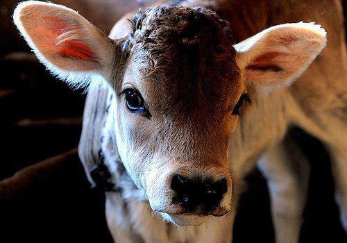 LA SOCIETA’ DEGLI IPOCRITI