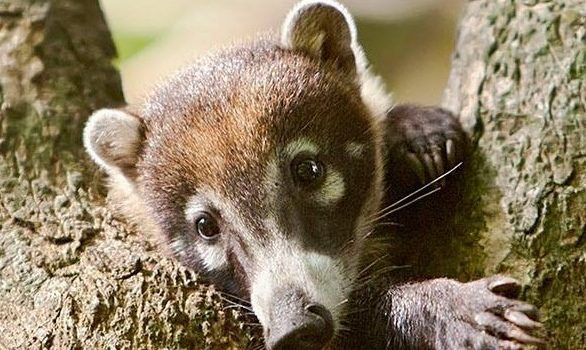 ADDITIVI E CONSERVANTI