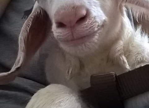 L’UOMO DELLA CROCE