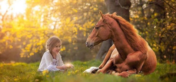 ESPANSIONE DEMOGRAFICA: UNA BOMBA AD OROLOGERIA