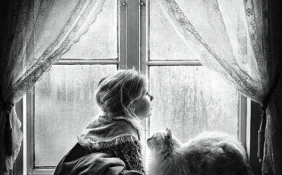 ANCHE LA PIANTA SOFFRE