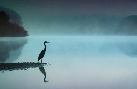 APOLLONIO DI TIANA IL CRISTO PAGANO E VEGANO