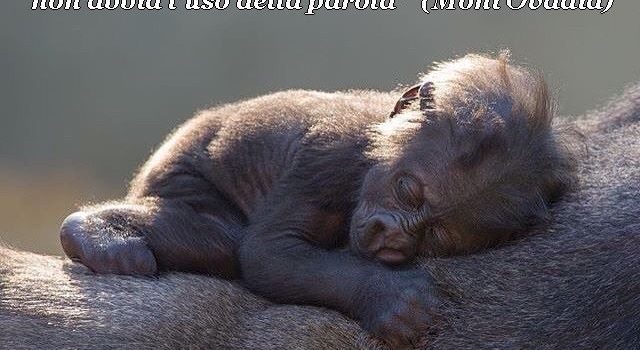 IMPERATRICE NUDA di HANS RUESH