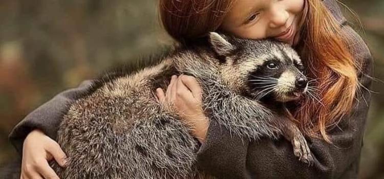 FINCHE’ di Franco Libero Manco