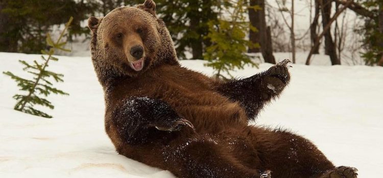 STORIA, SPIRITUALITA’ ED ESSSENZA DELLE GRANDI RELIGIONI