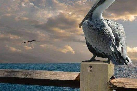 CONSIGLI (forse) DI BUON COMPORTAMENTO