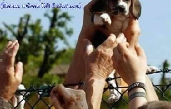 LE ABITUDINI INDOTTE E GLI STILI DI VITA CHE UCCIDONO NOI E IL PIANETA